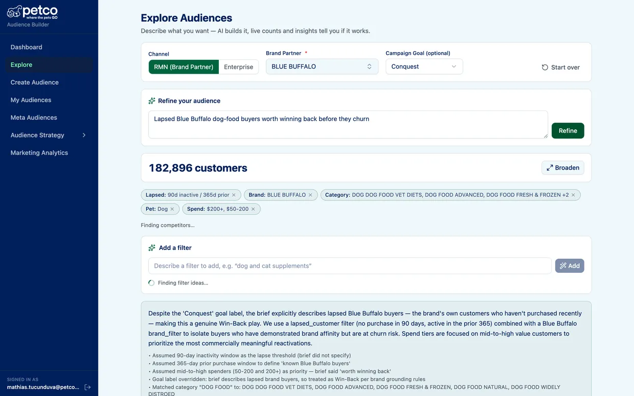 AudienceBuilder Explore showing a brief turned into a built audience
